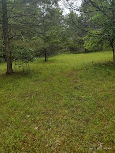 Lot 23 Camelot, Cedarcreek, MO, 65627