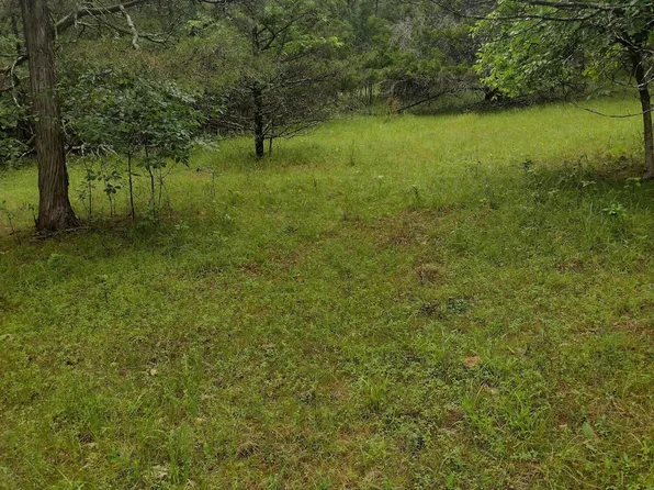 Lot 23 Camelot, Cedar Creek, MO 65627