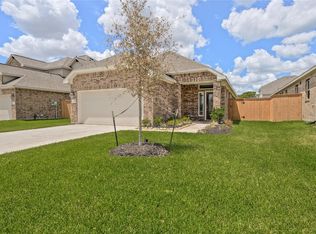 10406 Birch Peak Dr, Rosharon, TX 77583