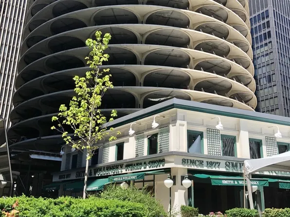 300 N State St APT 3228, Chicago, IL 60654