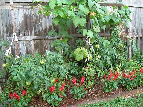 Great soli for any plants.