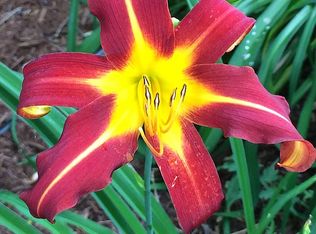 549 Barley St, Woodburn, OR