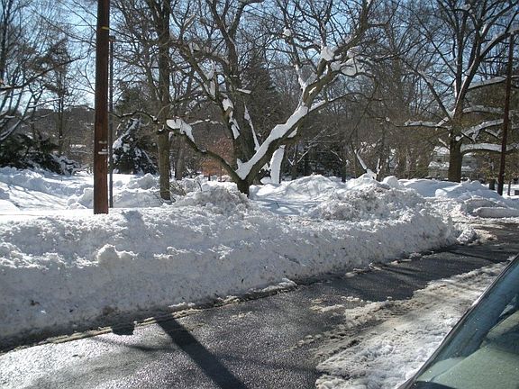 winter scene across street