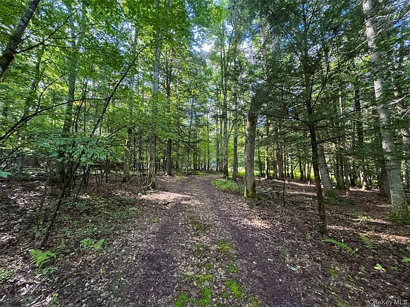 4th image of 83 Perry Pond Road