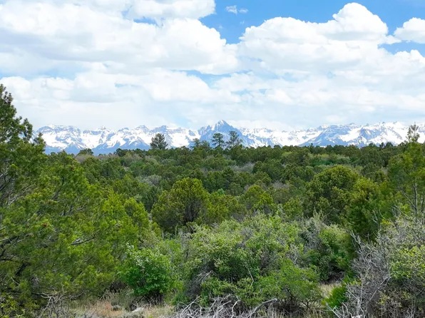 465 Wildcat Canyon Govt Springs Rd, Montrose, CO 81403