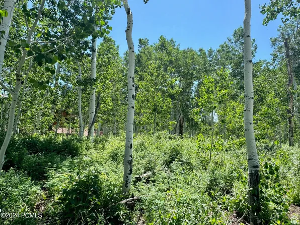 11516 Marigold Ln, Heber City, UT 84032