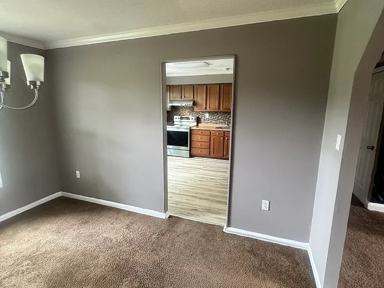 10118 Griff Dr #ENTIRE HOU — Photo 14