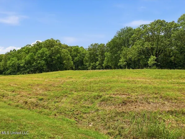 177 Chestnut Hill Rd #96, Flora, MS 39071