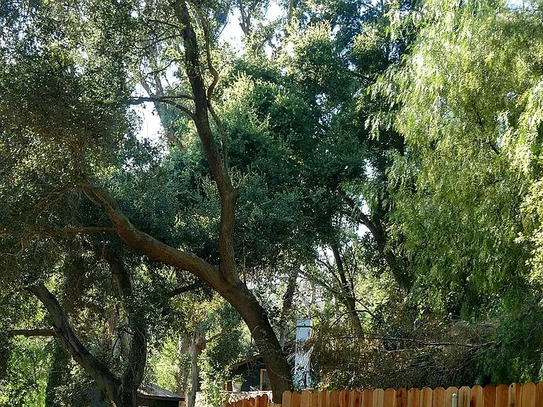 932 Old Topanga Canyon Rd — Photo 32