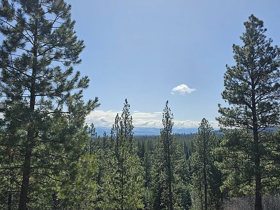View to the SE from back of home.