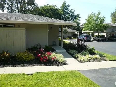 6318 Gloria Dr — Photo 3