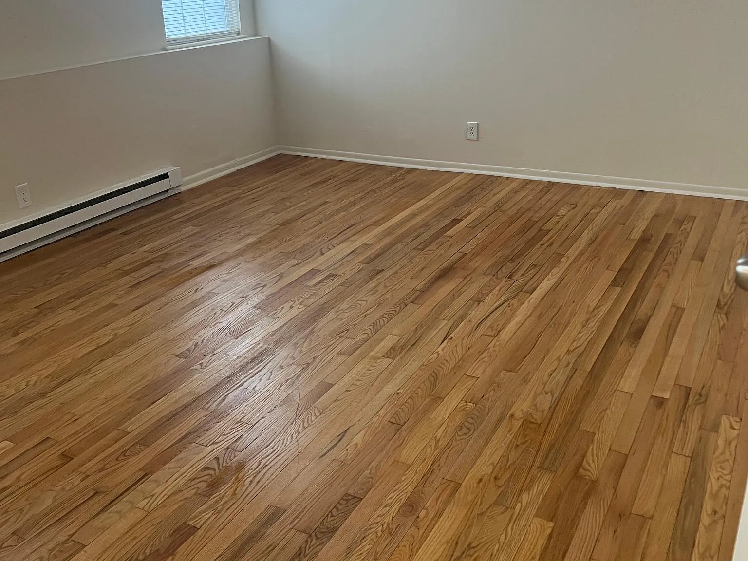 1 bed, $1,900 — Photo 4