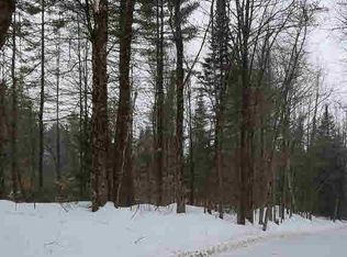 83 Holland Rd, Wevertown, NY 12886