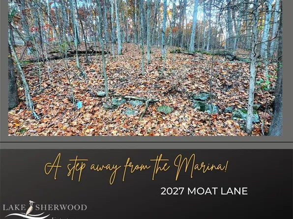 2027 Moat Ln, Lake Sherwood, MO 63357