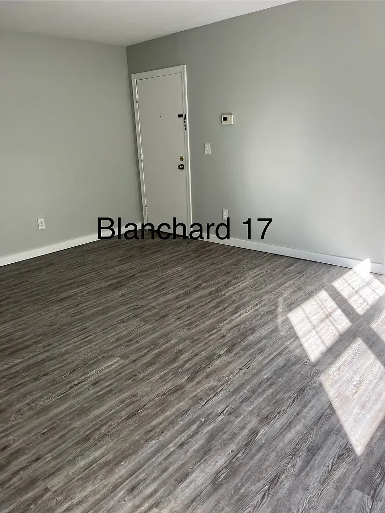 1 bed, $1,450 — Photo 3