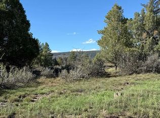 132 Hurt Ln, Pagosa Springs, CO 81147