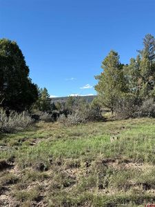 132 Hurt Lane, Pagosa Springs, CO, 81147