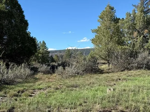 132 Hurt Lane, Pagosa Springs, CO 81147