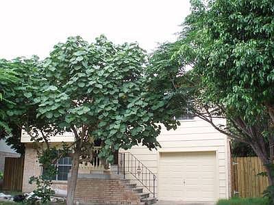 1st image of 2612 Harvey Dr