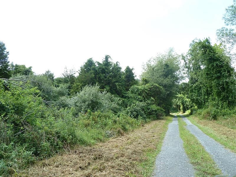 2nd image of 35 Youngs Island Rd