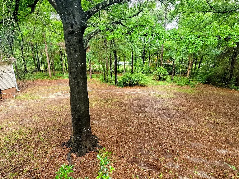3088 Log Cabin Ln — Photo 9