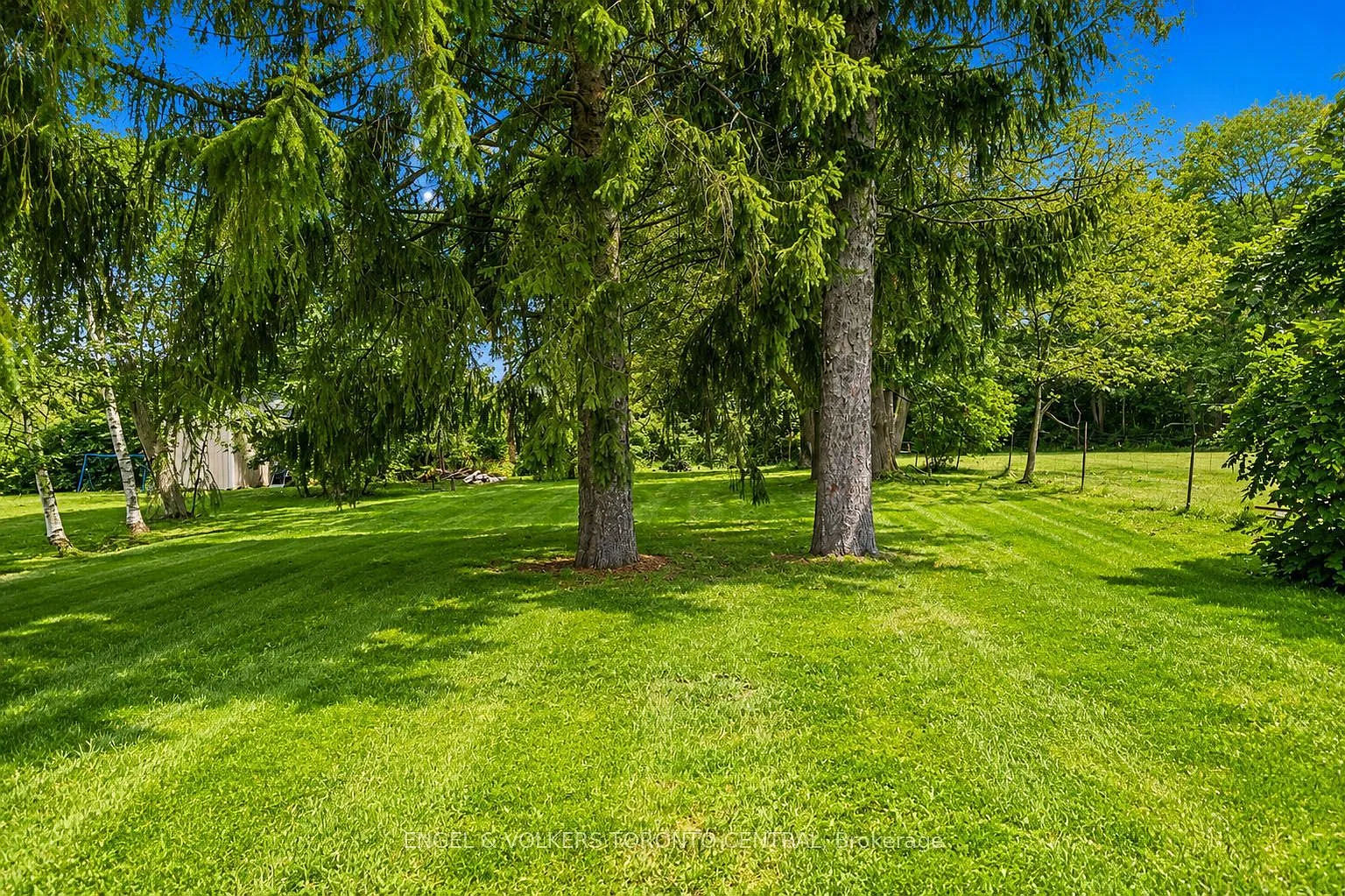 1 bed, $1,875 — Photo 3