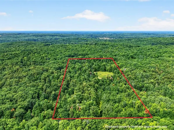 (undisclosed Address), Springbrook, WI 54875