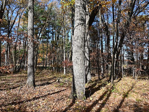 5th image of 40889 Penelope Loop