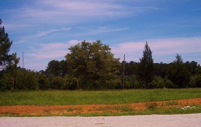 Anjali Mae Estates Lot 8