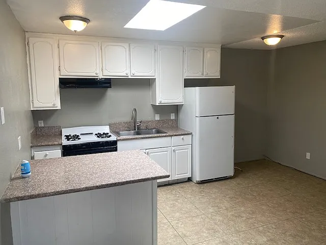 1 bed, 450 sqft, $990 — Photo 2