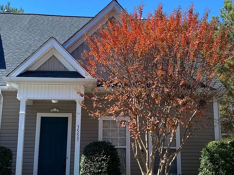 3557 Creeping Flora Ln — Photo 1