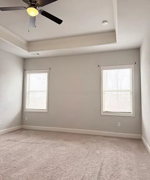 4502 Big Rock Ridge Trl — Photo 12