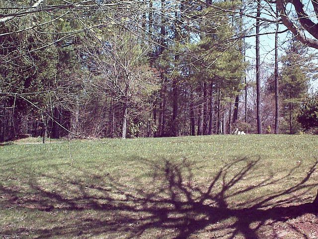 2nd image of 364 Wagoner Ridge Rd