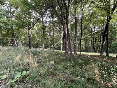 65698 DeSoto Ridge Road #42, 43, De Soto, WI, 54624