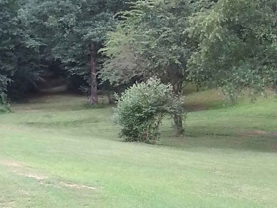 1st image of 6354 Us Highway 78
