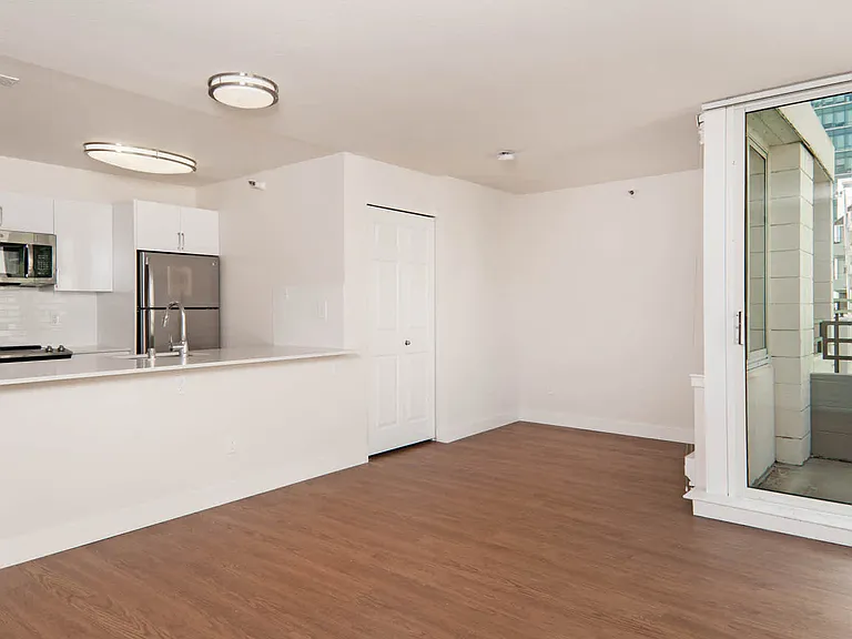 Renovated Kitchen and Living Room with Balcony