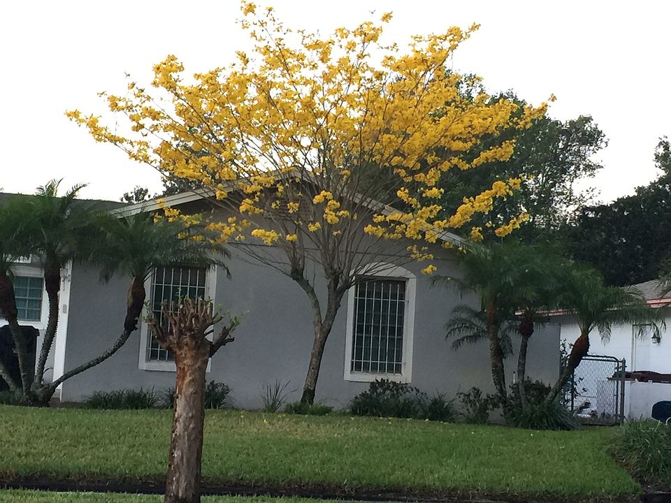 2nd image of 5238 Andrea Blvd