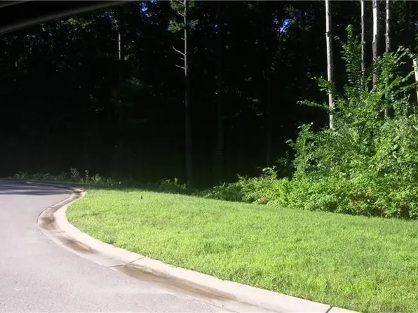 81 Mystic Pines Ct, Pinckney, MI 48169