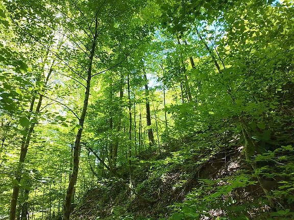 5th image of 0 State Route 26