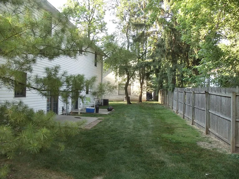 Back yard