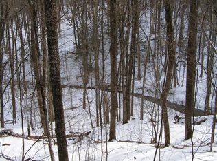 Norton Rd, Schenevus, NY 12155