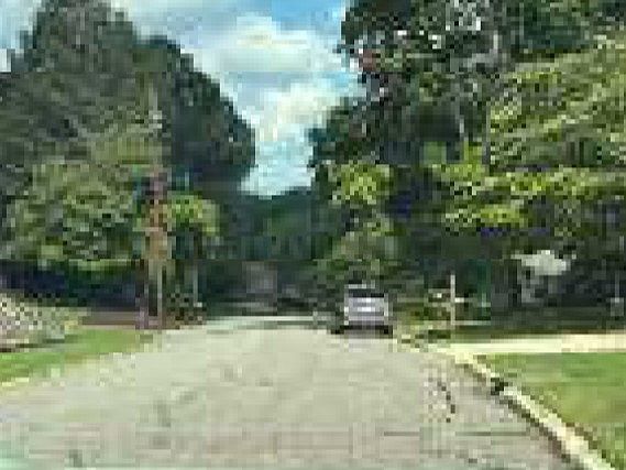 2nd image of 402 Holland Dr