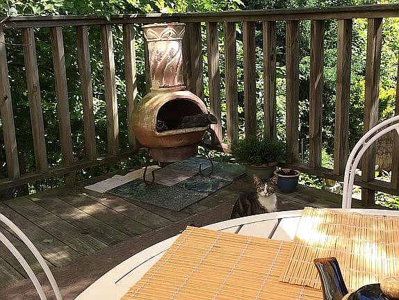 Back yard 