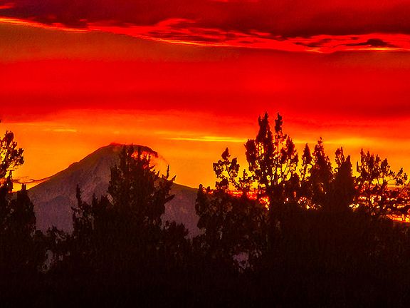 5th image of 3660 SW Parrish Ln