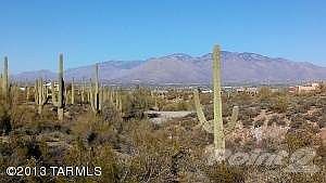 IMAG0046