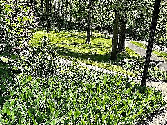 4th image of 535 Webb Rd