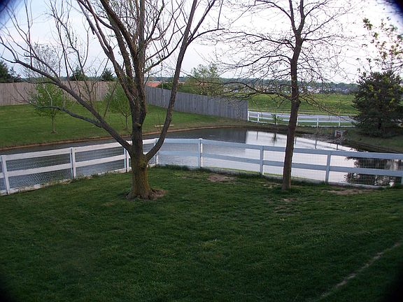 Backyard view from house