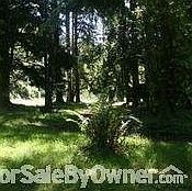 4th image of 15310 Wilson River Hwy
