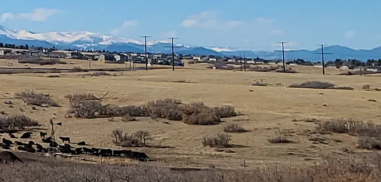 Gorgeous views of the Rocky Mountains from the house.