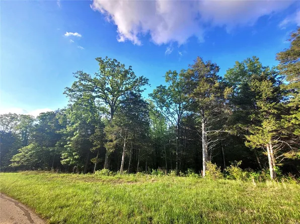 1670 & 1676 Cedar Park Rd, Hillsboro, MO 63050